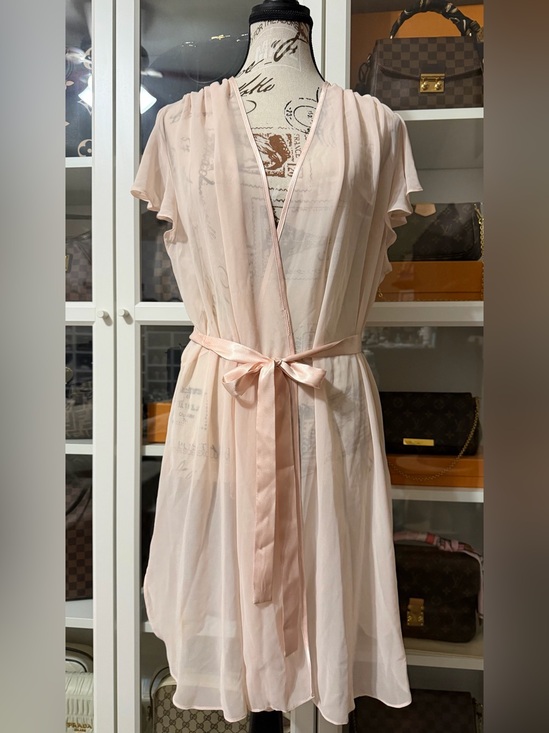 Oscar de la Renta Sleepwear Other - Oscar de la Renta Sleepwear Sheer Satin-Trim Robe in Blush